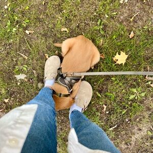 Meet your Posher, Cassandra